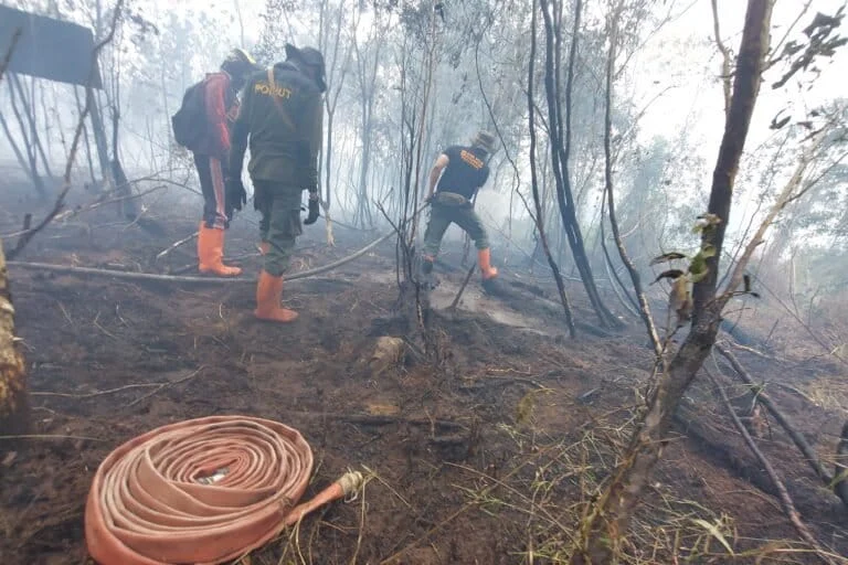 The Looming Shadow of El Niño Godzilla: Indonesia Faces Escalating Climate Risks and the Urgent Call for Systemic Mitigation
