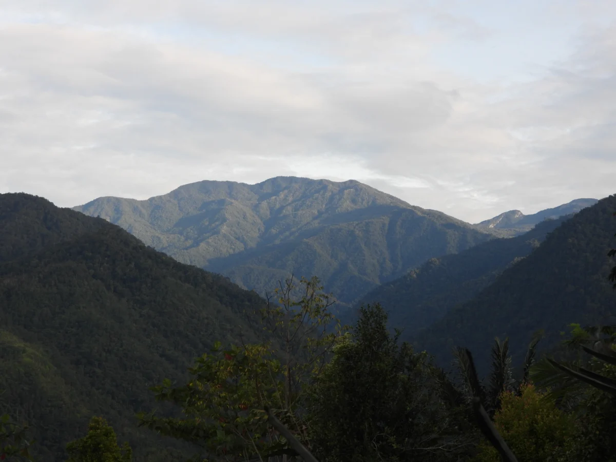 The Quest to Preserve the Latimojong Mountains as South Sulawesis Ecological Life Support System and Future National Park