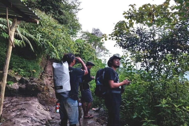 The Silent Canopy of Mount Muria and the Race to Restore the Vanishing Song of the Javan White-eye