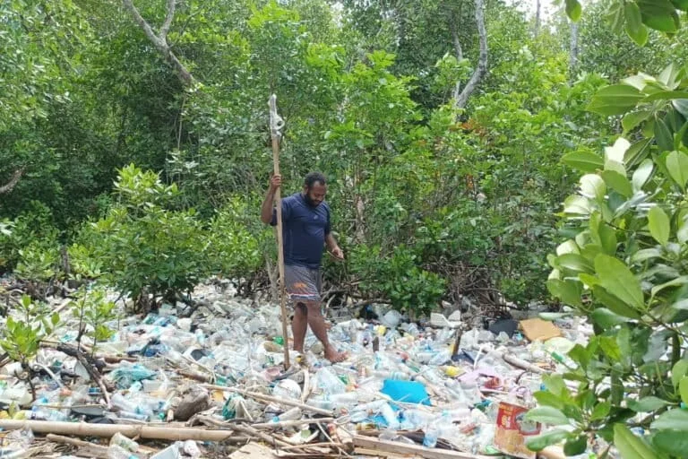 The Vanishing Guardians of Youtefa Bay Rampant Development and Plastic Waste Threaten Papua Vital Mangrove Ecosystems
