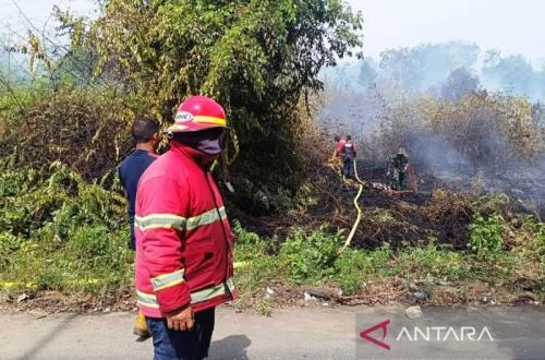 Aceh Barat Authorities Mobilize Extensive Resources to Contain Land Fire Threatening Residential Areas and Public Health