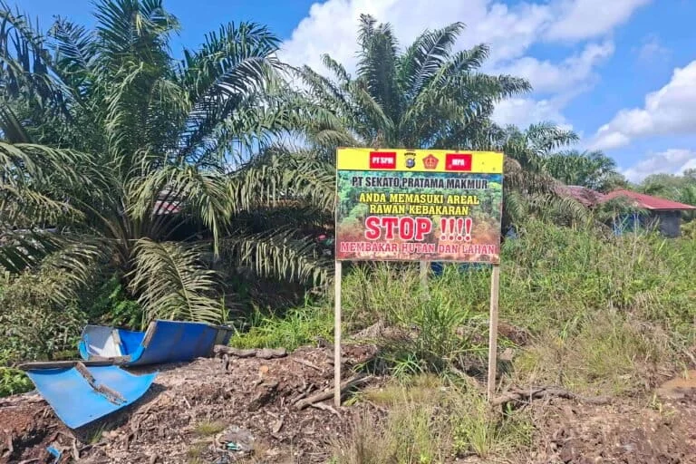 Corporate Accountability and Environmental Justice: Investigative Findings on Riau Peatland Fires in Major Concessions