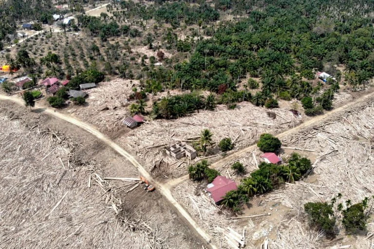 Devastating Floods and Landslides Cripple Aceh Coffee Industry as Restoration Efforts Begin Amidst Massive Infrastructure Damage