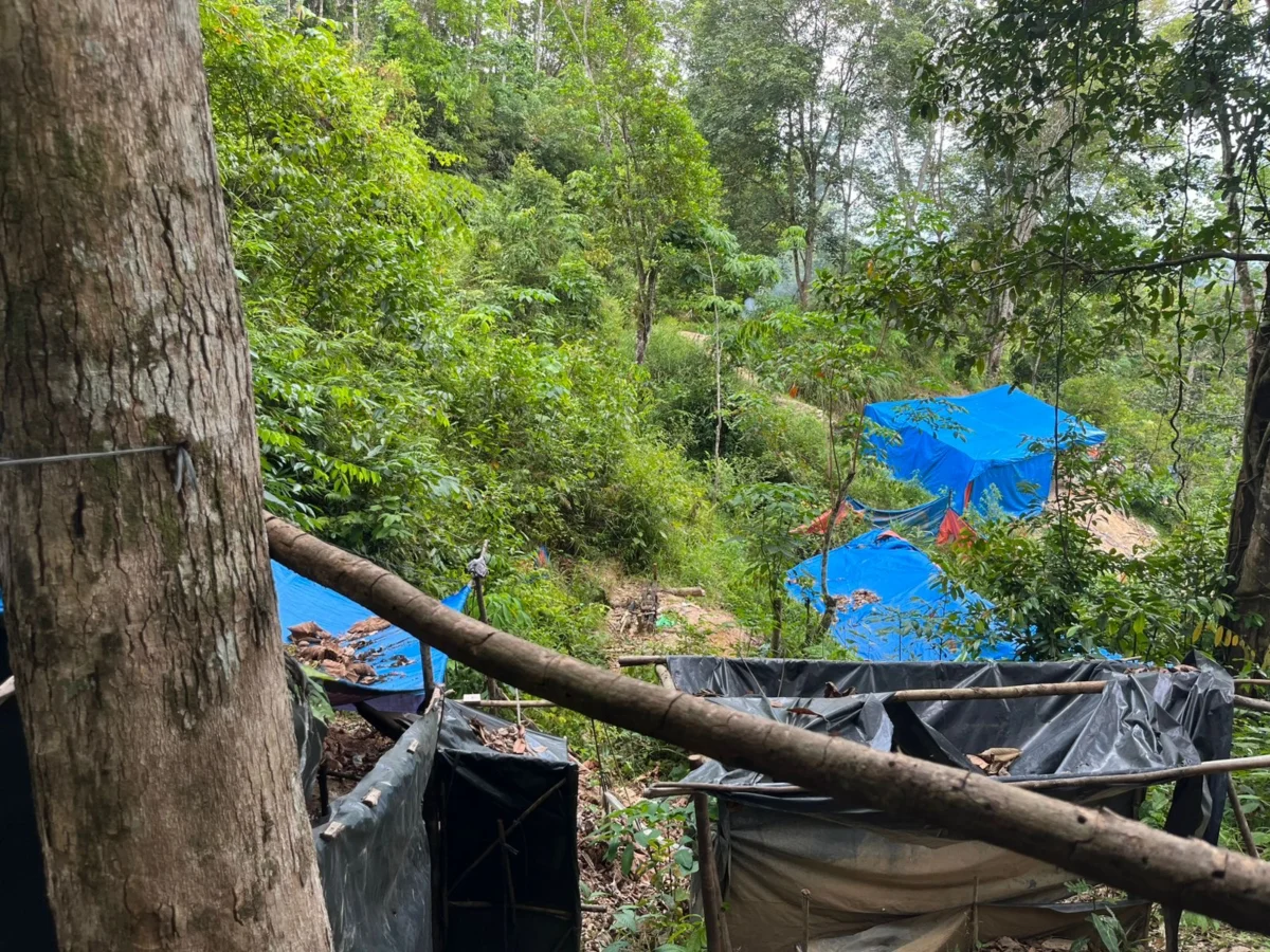 Fatal Landslide at Illegal Gold Mine in Mandailing Natal Claims Lives Amid Ongoing Environmental and Humanitarian Crisis