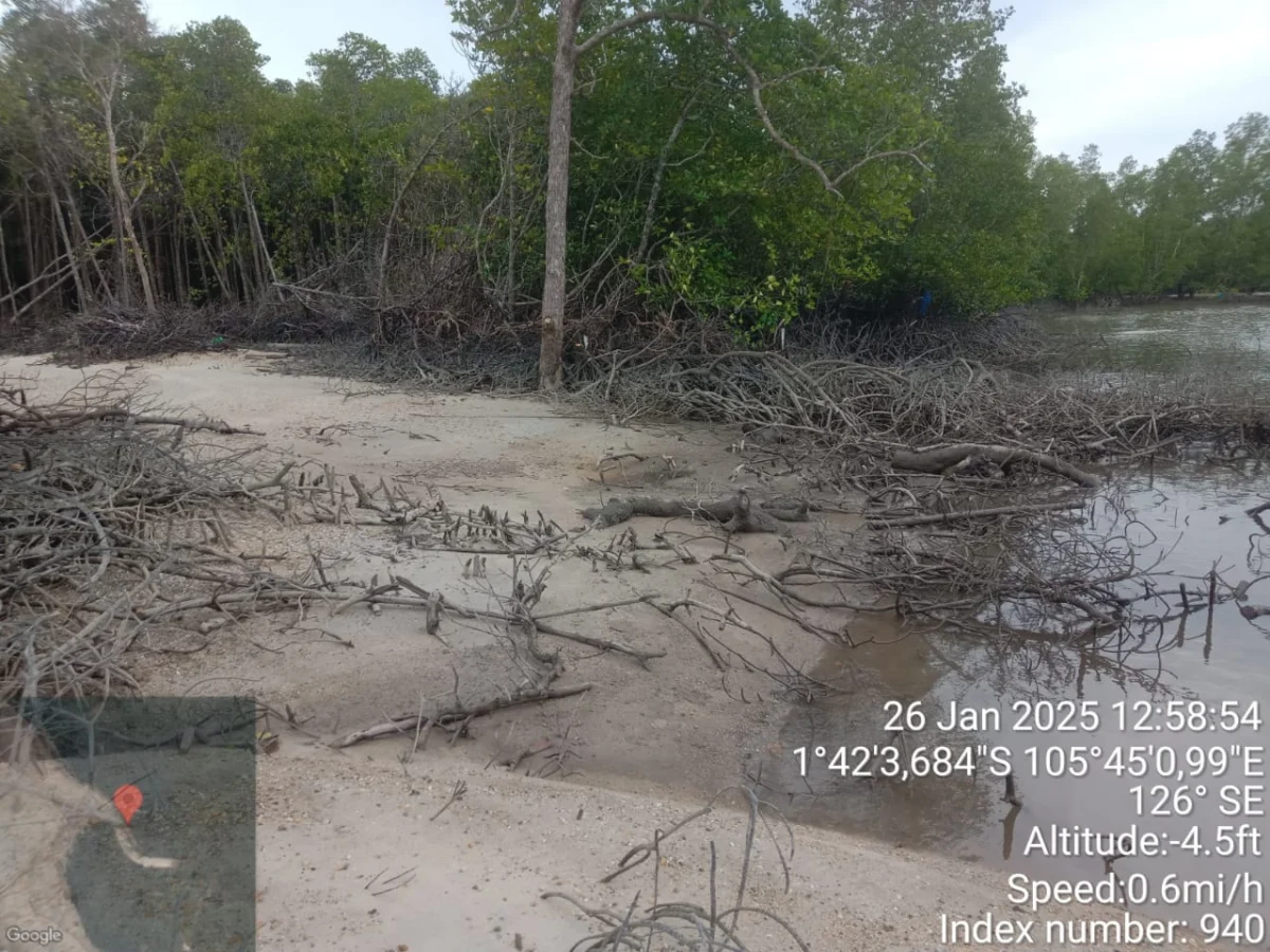 Fishermen in Bangka Belitung Secure Legislative Support in Long-Standing Battle Against Illegal Tin Mining in Teluk Kelabat