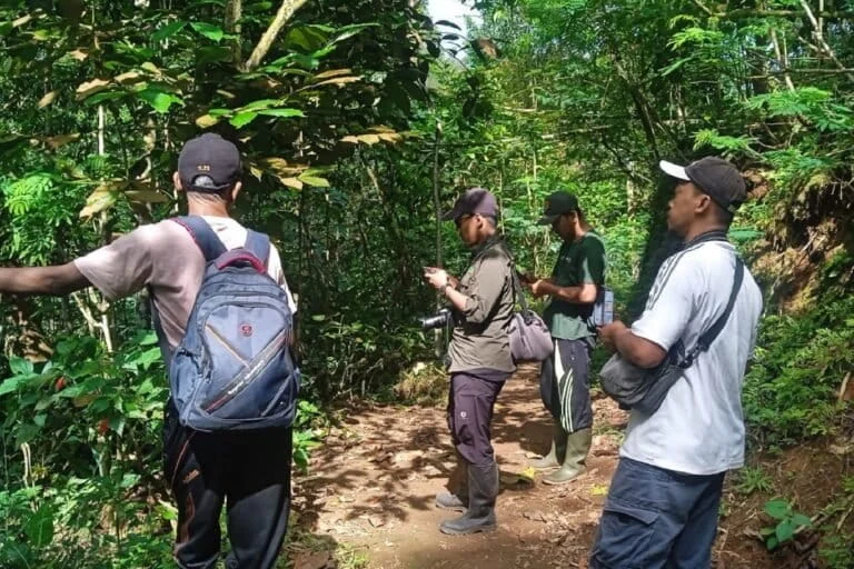From Hunter to Protector The Community-Led Movement to Save the Endangered Hill Blue Flycatcher in the Menoreh Hills