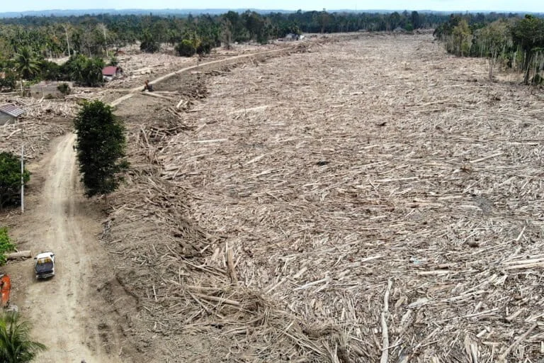 Human Error and Policy Failures Under Scrutiny Following Unprecedented Hydrometeorological Disasters Across Sumatra and Aceh