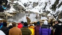 Jigokudani Snow Monkey Park Implements Visitor Limits Amidst Overcrowding and Tourist Misconduct