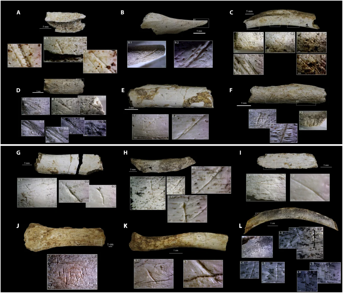 New Archaeological Evidence Challenges the Hunting Prowess and Fire Use of Homo floresiensis in Flores Indonesia