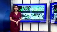 Potongan Grab-Gojek Sudah Turun Ke 8% – China Tindak 19 Perusahaan RI