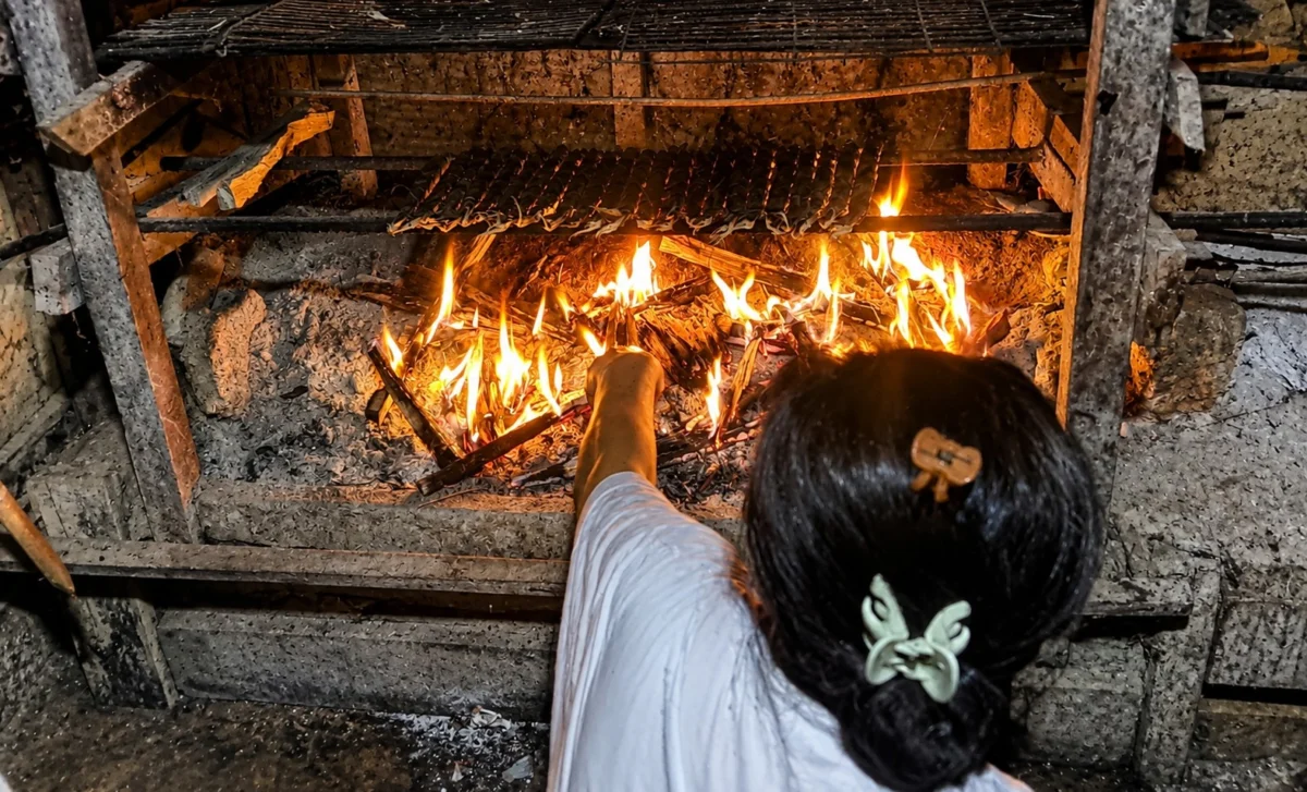 Sago Sovereignty in Mentawai: Preserving the Ancient Culinary Heritage of Siberut Amidst the Rising Dominance of Rice and Modernity