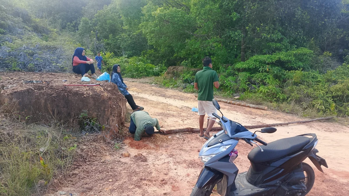 Tensions Mount in Rempang Island as Residents Oppose BP Batam Land Claims for National School Project