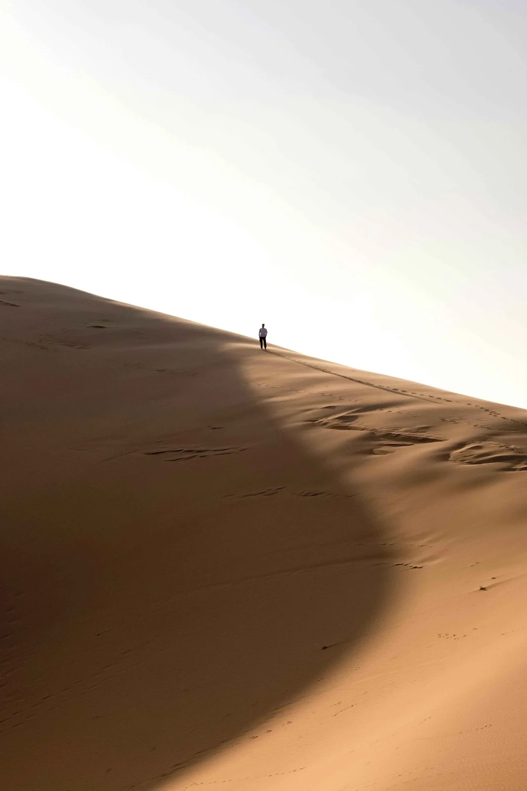 The Subtle Shift: Navigating Andropause and Redefining Masculinity in Midlife