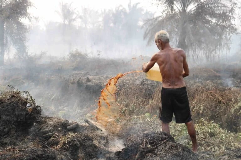 Indonesia Faces Escalating Ecological Crisis as Forest and Land Fires Ravage Over 200,000 Hectares