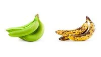 Nutritional Evolution of Bananas: How Ripeness Levels Impact Health Benefits, Digestion, and Blood Sugar