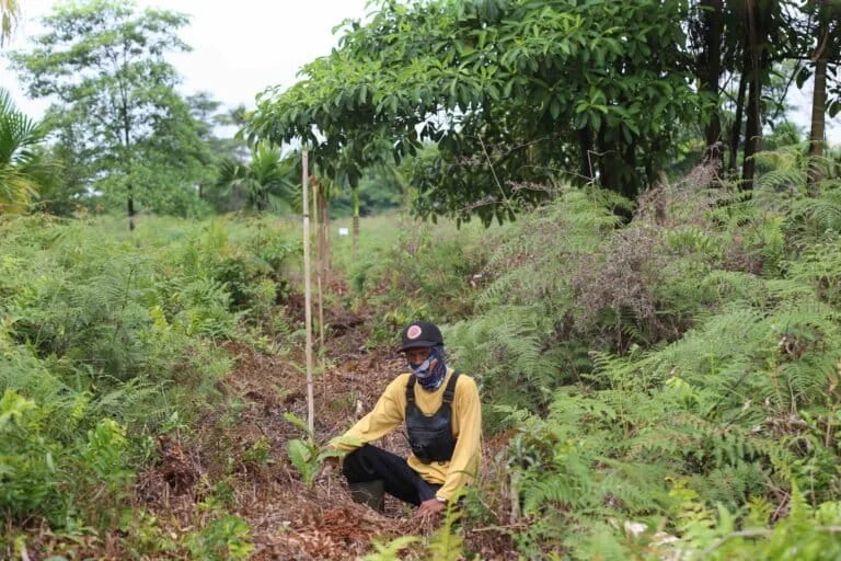 Peatland Fire Resilience and the New Dawn of Early Warning Systems in Jambi
