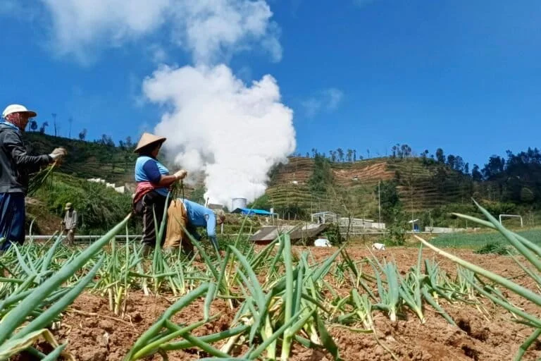 Renewed Plans for the Mount Ungaran Geothermal Power Plant Face Mounting Public Resistance and Scientific Scrutiny