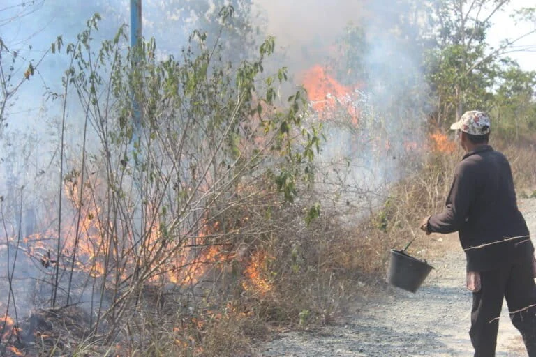 South Kalimantan Faces Escalating Crisis as Severe Drought and Wildfires Devastate Local Communities and Infrastructure
