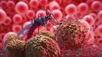 Wamenkes Targetkan Nol Kematian Dengue pada 2030