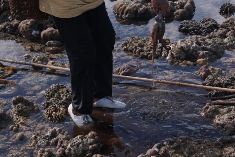 Wawonii Residents Fight to Reclaim Marine Ecosystems Amid Destructive Fishing and Extractive Industrial Threats
