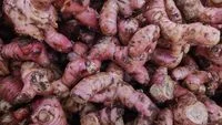 Ini Daftar Tanaman Obat yang Banyak Diproduksi di Indonesia