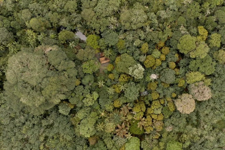 Jongot and the Resilience of Indigenous Forest Management Amidst the South Sumatra Wildfire Crisis