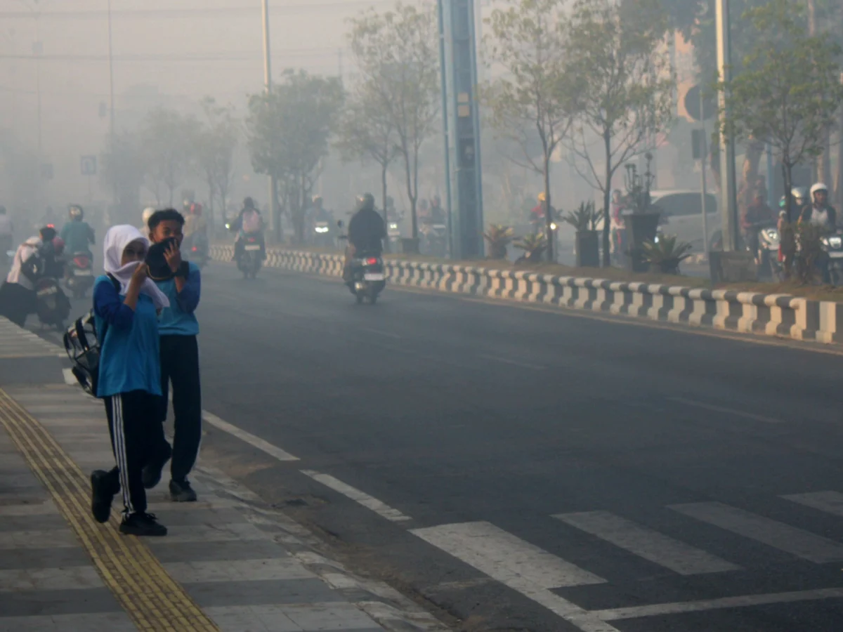 The Health and Environmental Crisis in Kalimantan: Toxic Haze and the Struggle for Accountability
